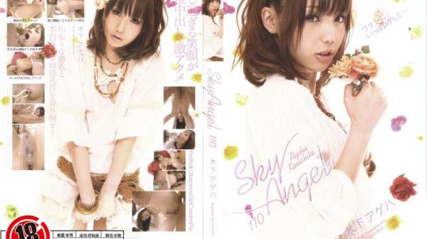 SKY ANGEL 110 GI-317